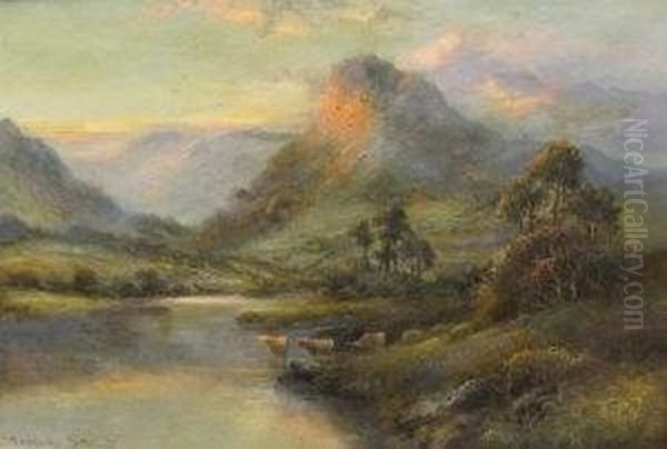 Cattle Watering In A Highland Loch At Sunset Oil Painting by Douglas Stewart