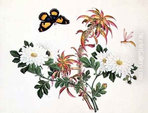 Two Stems of Amaranthus and Chrysanthemum with a Wasp and a Butterfly Oil Painting by Anonymous Artist