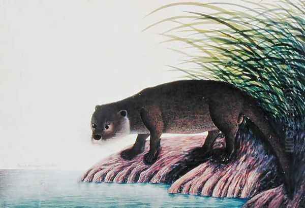 Otter, Brang-Brang, from 'Drawings of Animals, Insects and Reptiles from Malacca', c.1805-18 Oil Painting by Anonymous Artist