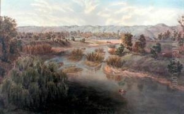 The River Torrensfrom The Bridge Oil Painting by Ernest D. Stocks