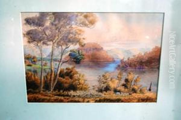 Near Spectacle Island Hawkesbury River Nsw Oil Painting by Ernest D. Stocks