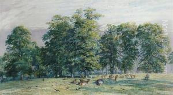 Red Deer In Parkland Oil Painting by Walter Fryer Stocks