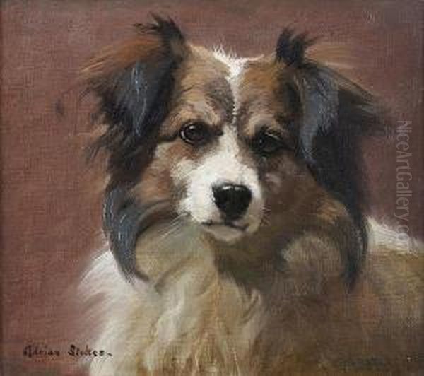 Portrait Of A Border Collie Oil Painting by Adrian Scott Stokes