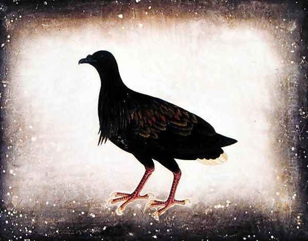 Bird, from 'Drawings of Birds from Malacca', c.1805-18 Oil Painting by Anonymous Artist