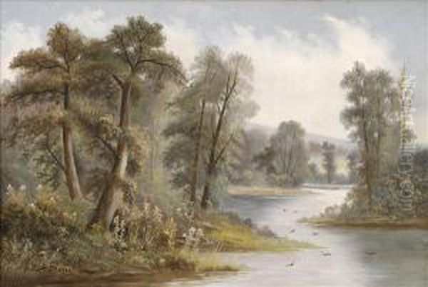 Wooded River Scene Oil Painting by Ada Stone