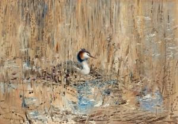 Great Crested Grebe Among The Reeds Oil Painting by Mosse Stoopendaal