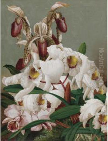 Orchids Oil Painting by Charles Storer