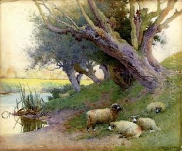 Sheep On A River Bank Oil Painting by Arthur Claude Strachan