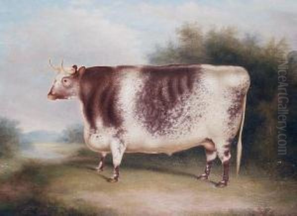 A Shorthorn Bull In An Open Landscape Oil Painting by Henry Strafford