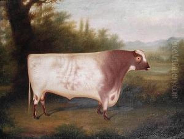 An Ayrshire Bull In A Landscape Oil Painting by Henry Strafford