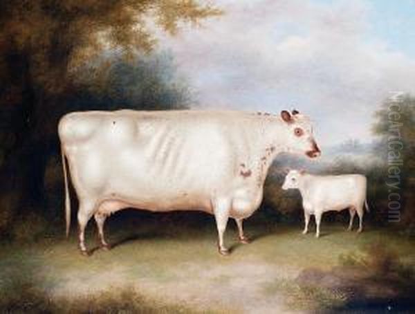 A White Cow And Calf In An Openlandscape Oil Painting by Henry Strafford