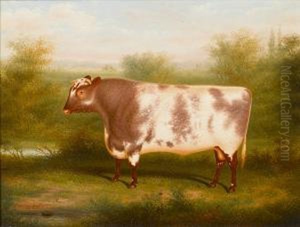 The Shorthorn 'duke Of Northumberland' Oil Painting by Henry Strafford