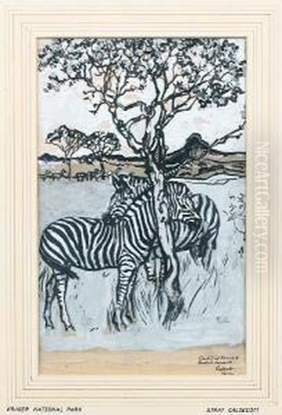 Zebras Grazing In The Kruger Oil Painting by Harry Stratford Caldecott