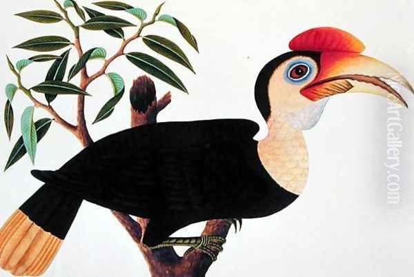 Ke-ke, from 'Drawings of Birds from Malacca', c.1805-18 Oil Painting by Anonymous Artist