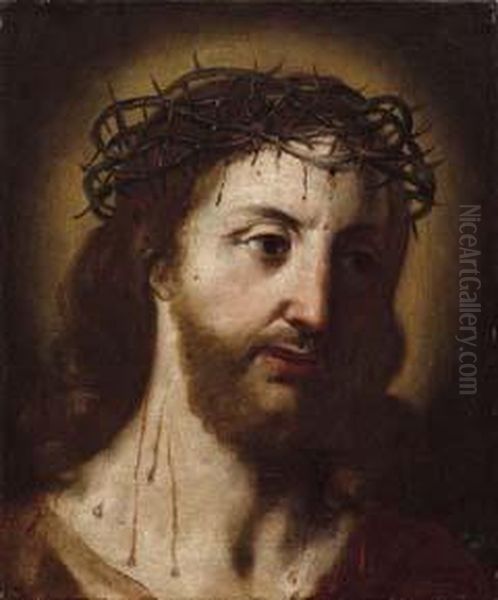 Testa Di Cristo Coronato Di Spine Oil Painting by Francesco Stringa