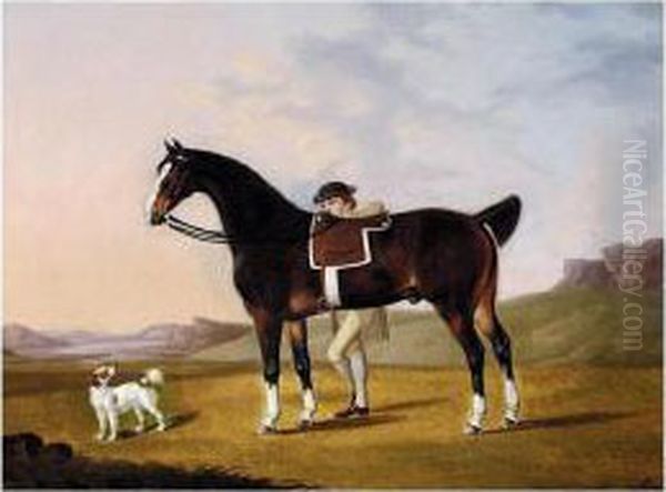 A Gentleman With A Bay Hunter And Spaniel In A Coastal Landscape Oil Painting by Francis Stringer