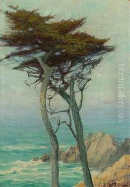 Carmel Coastal S L/r: E. Strong O/c 14x10.5 Oil Painting by Elizabeth Strong