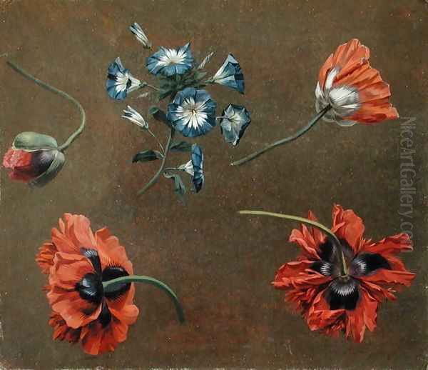 Poppies and Tradascanthus Oil Painting by Anonymous Artist