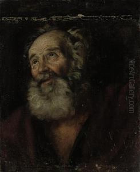 Head Of A Male Saint Oil Painting by Bernardo Strozzi