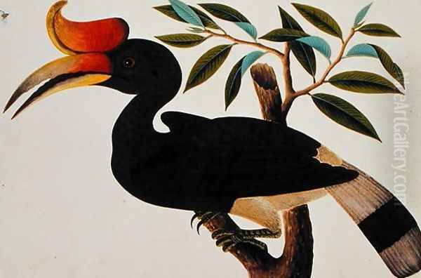 Ingang, from 'Drawings of Birds from Malacca', c.1805-18 (2) Oil Painting by Anonymous Artist