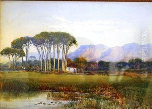 Rondebosch Common Oil Painting by Edith Francis Mary Struben