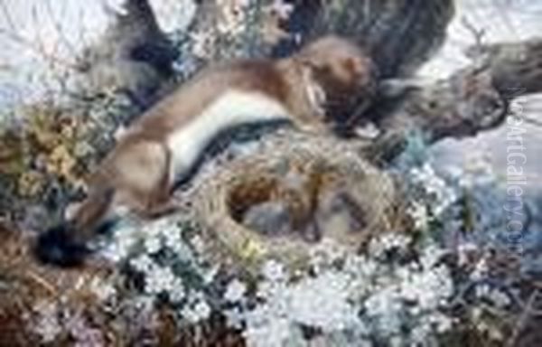 A Weasel And Bird's Nest In Spring Oil Painting by William Strutt