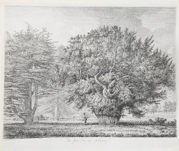 The Abbot's Oak At Woburn Oil Painting by Jacob George Strutt