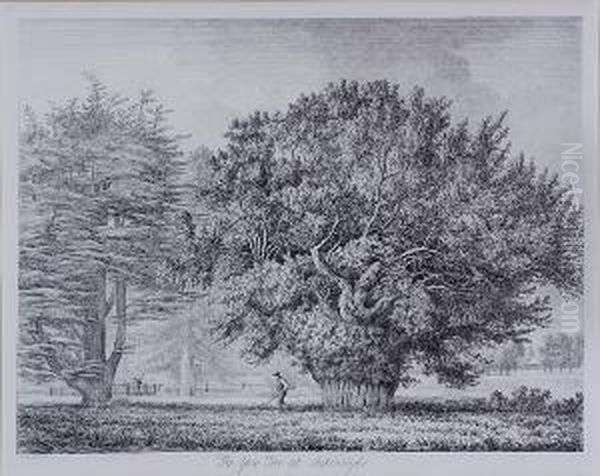 The Yew Tree At Ankerwyke Oil Painting by Jacob George Strutt