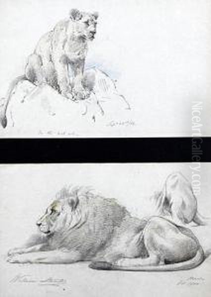 'on The Look Out', A Study Of A Lioness Oil Painting by William Strutt