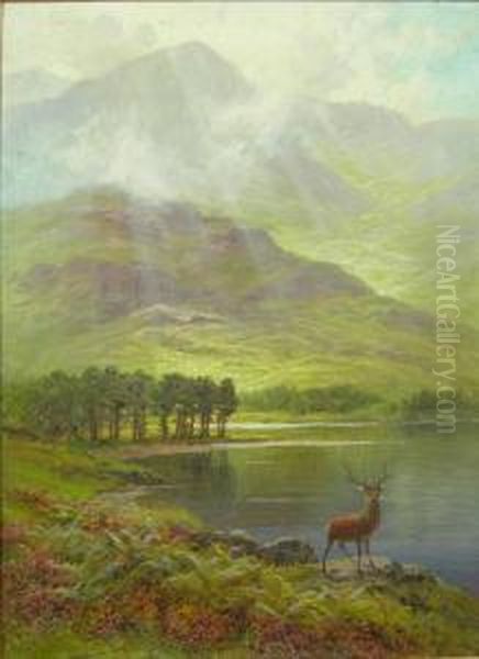 Stag By A Highland Loch Oil Painting by Charles Stuard