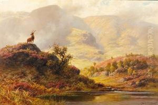 The Monarch Of The Glen Oil Painting by Charles Stuard