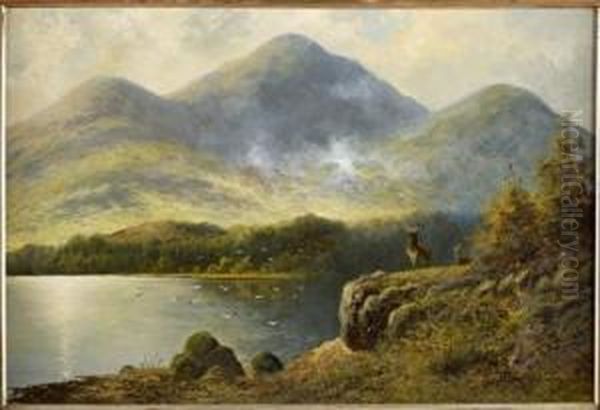 Stags Above A Highland Loch Oil Painting by Charles Stuard