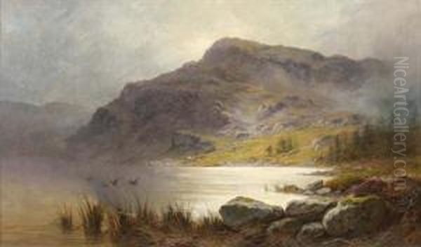 Duck Rising Over A Highland Loch by Charles Stuard