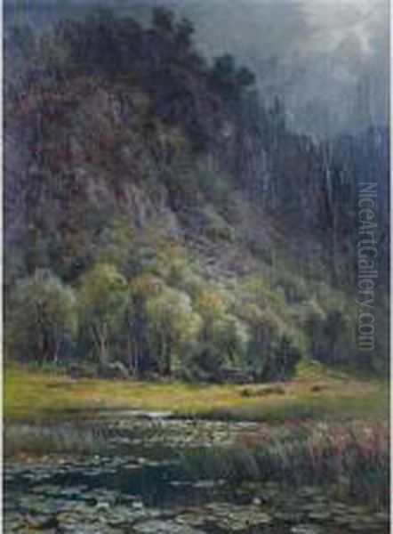 A Scottish Mountain Loch With Water Lilies And Mountains Beyond Oil Painting by Charles Stuart