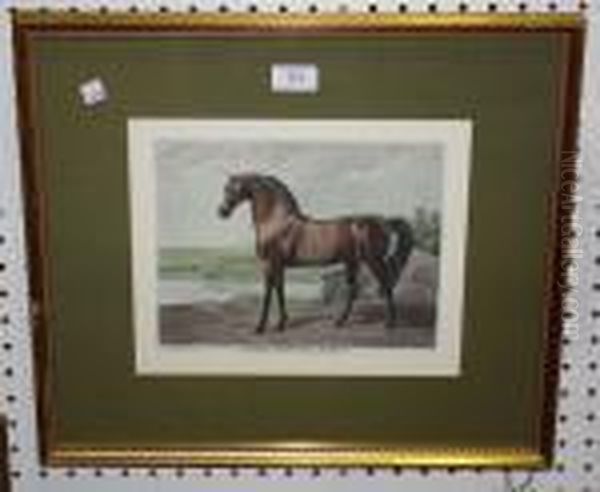 Warren Hastings Arabian Oil Painting by George Stubbs