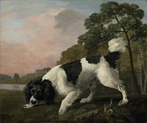 A Black And White Spaniel Following A Scent, In A Landscape Oil Painting by George Stubbs