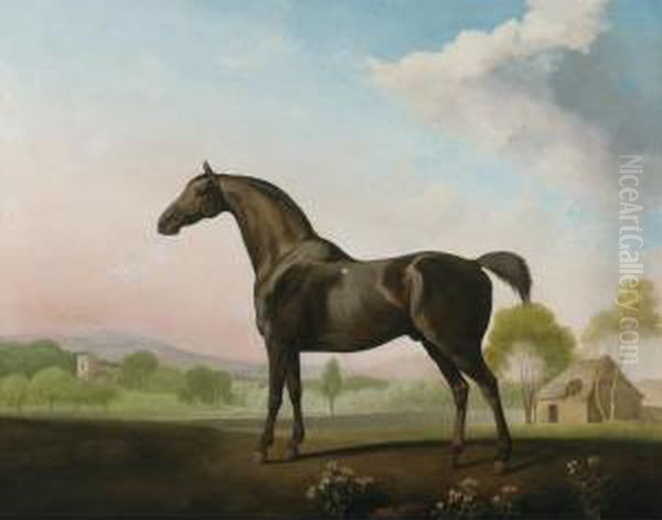 Lord Grosvenor's Sweet William In A Landscape Oil Painting by George Stubbs