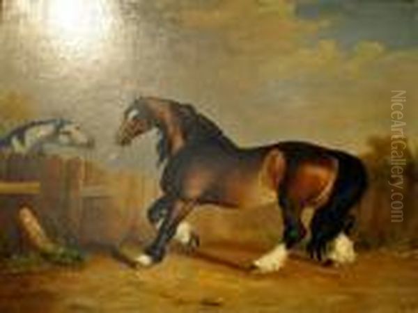 Study Of A Brown Horse Oil Painting by George Stubbs