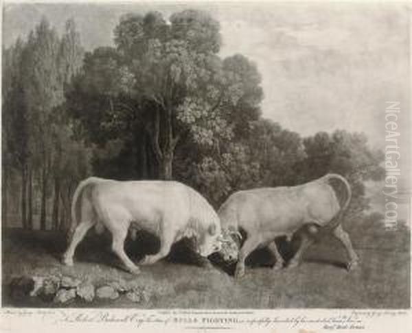 Bulls Fighting Oil Painting by George Stubbs