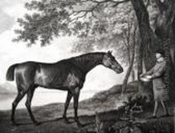 Sharke Oil Painting by George Stubbs