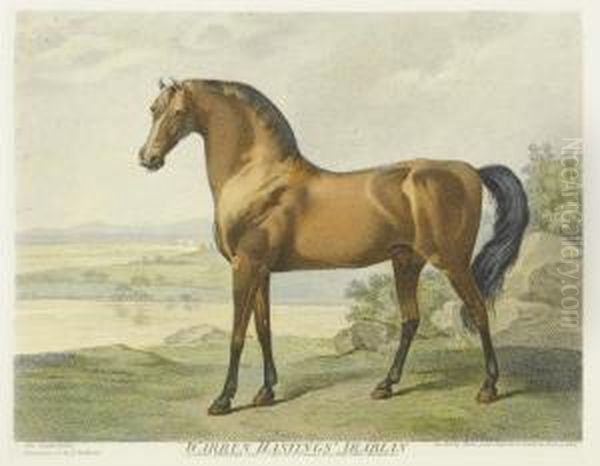 Warren Hastings' Arabian Oil Painting by George Stubbs