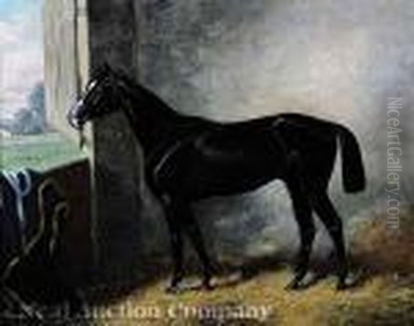 A Thoroughbred Horse Inits Stall Oil Painting by Henry Stull