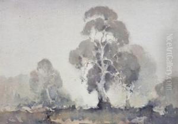 Grey Gums Oil Painting by Reginald Ward Sturgess