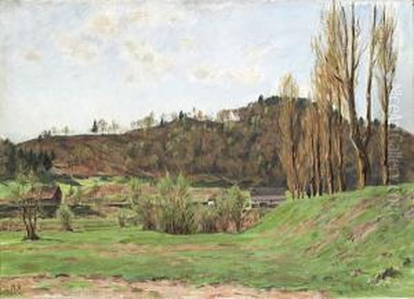 Am Rhein, Gegenuber Ruedlingen Oil Painting by Hans Sturzenegger