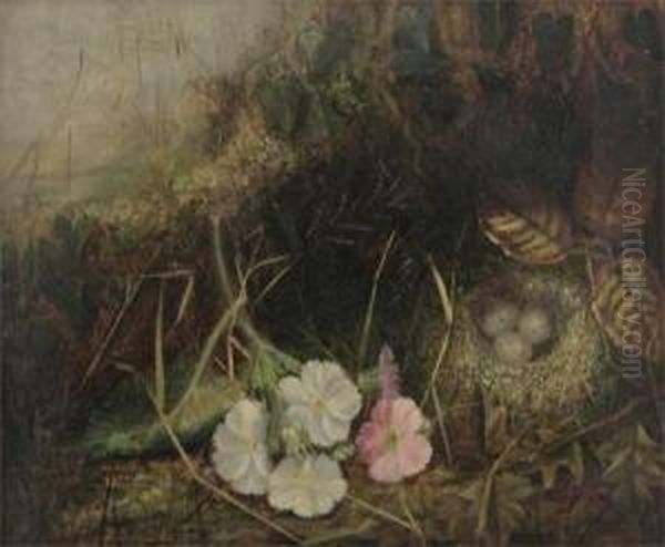 Roses Amongst Foliage; Primroses And A Birds Nest In Amongst Foliage Oil Painting by Joseph Such