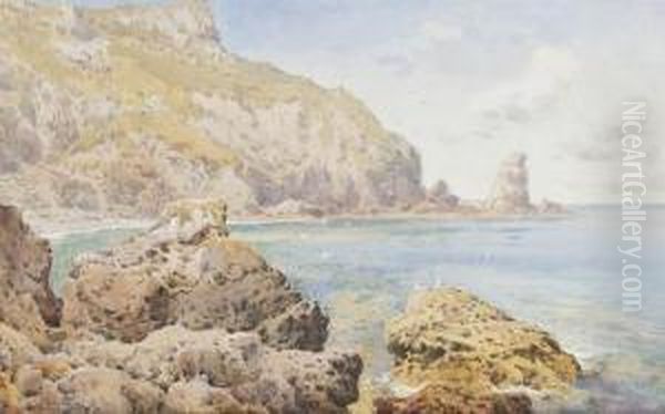 Limestone Cliff, Near Torquay, Devon Oil Painting by Arthur Suker