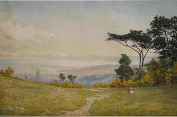 Panoramic View Over Paignton Towards Berry Head From Fields Above Preston Oil Painting by Arthur Suker