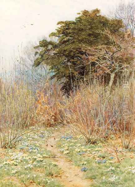 In a Spring Copse 'Here the white-rayed anemone is born' Oil Painting by Helen Mary Elizabeth Allingham