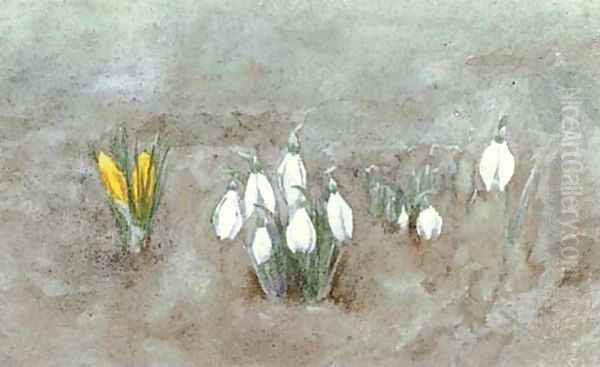 Study of crocuses Oil Painting by Helen Mary Elizabeth Allingham