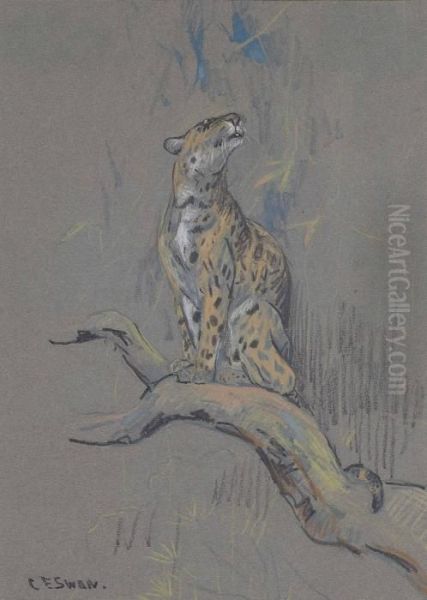 A Leopard On A Branch Oil Painting by Cuthbert Edmund Swan